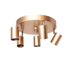 Correct Spotlight 5 Guld