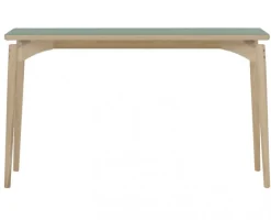Aeris Skrivbord / Avställningsbord 120x40 cm Ljus Ek