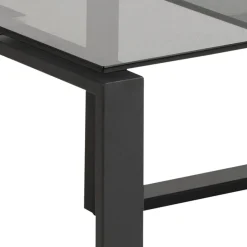 Benz Satsbord 45x115x69 cm Svart/Glas