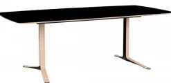 Fusion Matbord 220x100 cm Laminat Ljus Ek