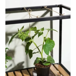 Grower Greens Växtskåp Svart 81x41x137 cm