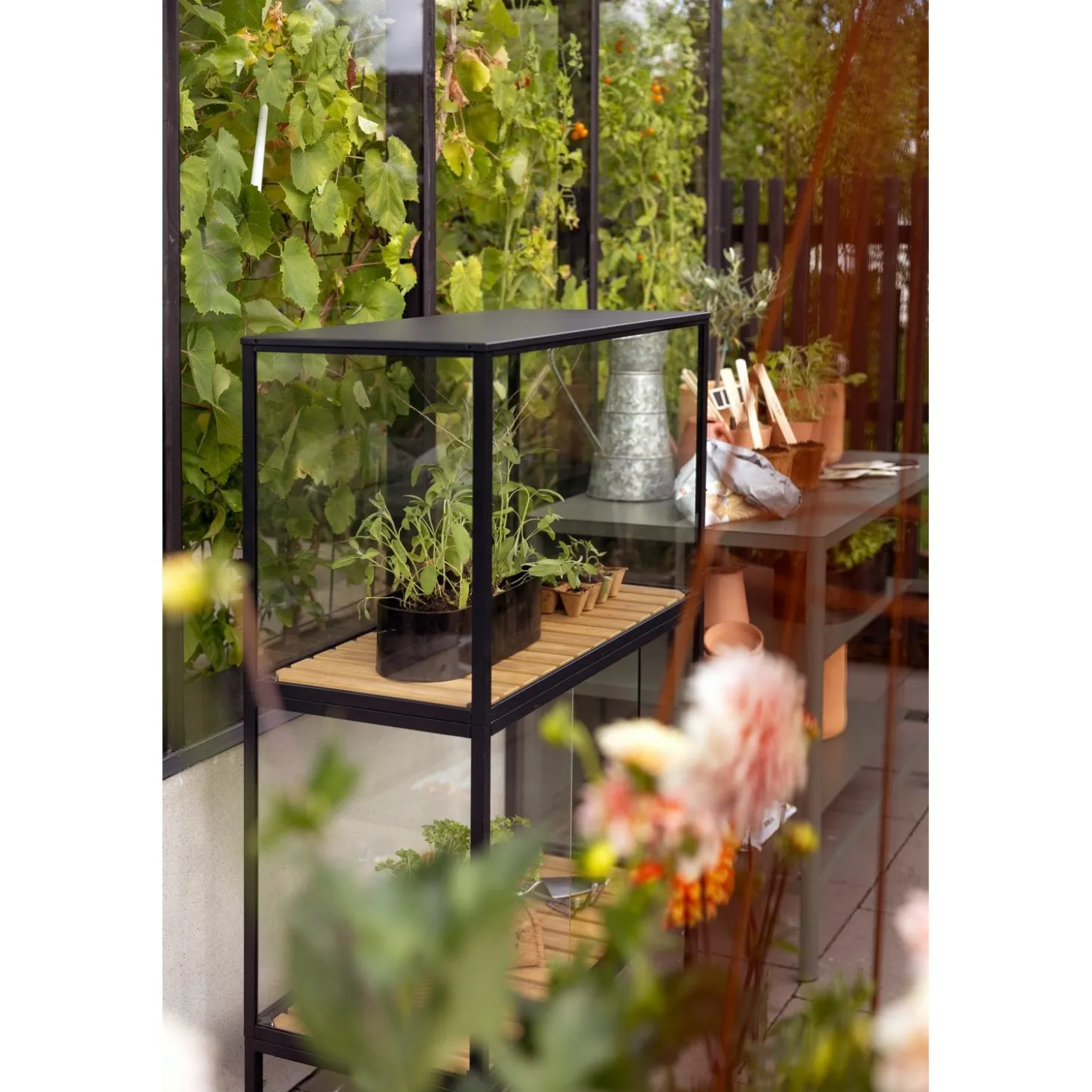 Grower Greens Växtskåp Svart 81x41x137 cm