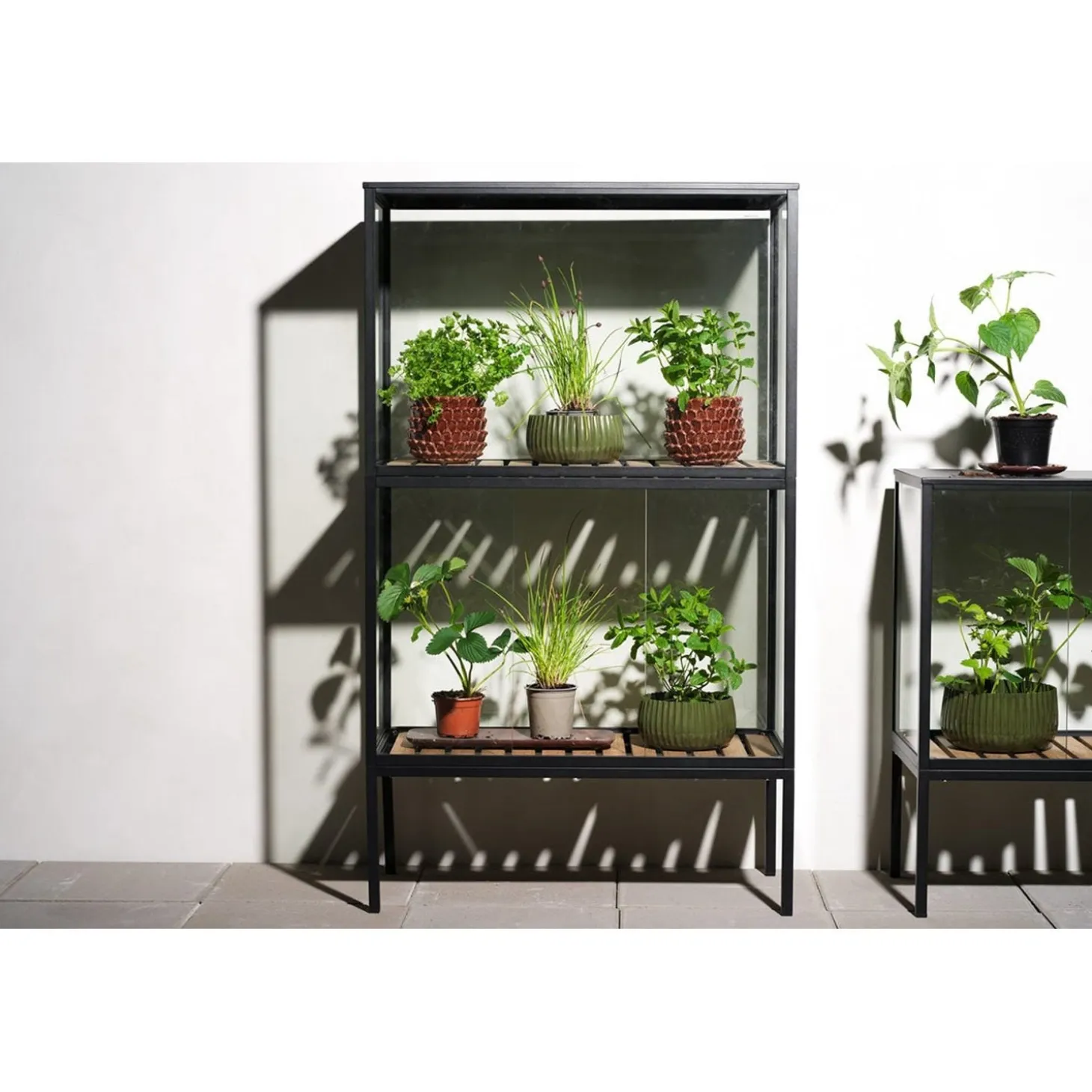 Grower Greens Växtskåp Svart 81x41x137 cm