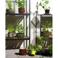 Grower Greens Växtskåp Svart 81x41x137 cm