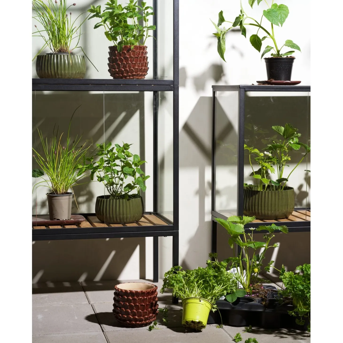 Grower Greens Växtskåp Svart 81x41x137 cm
