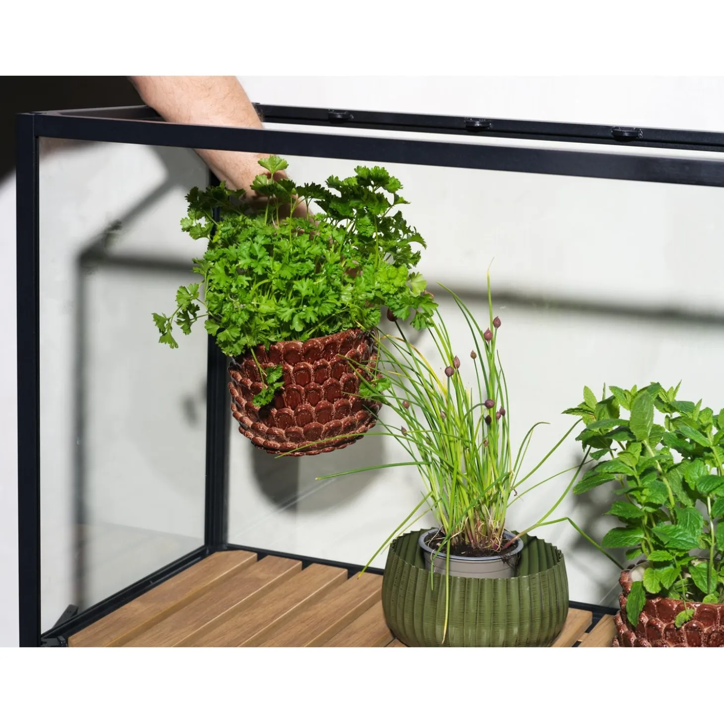 Grower Greens Växtskåp Svart 81x41x137 cm