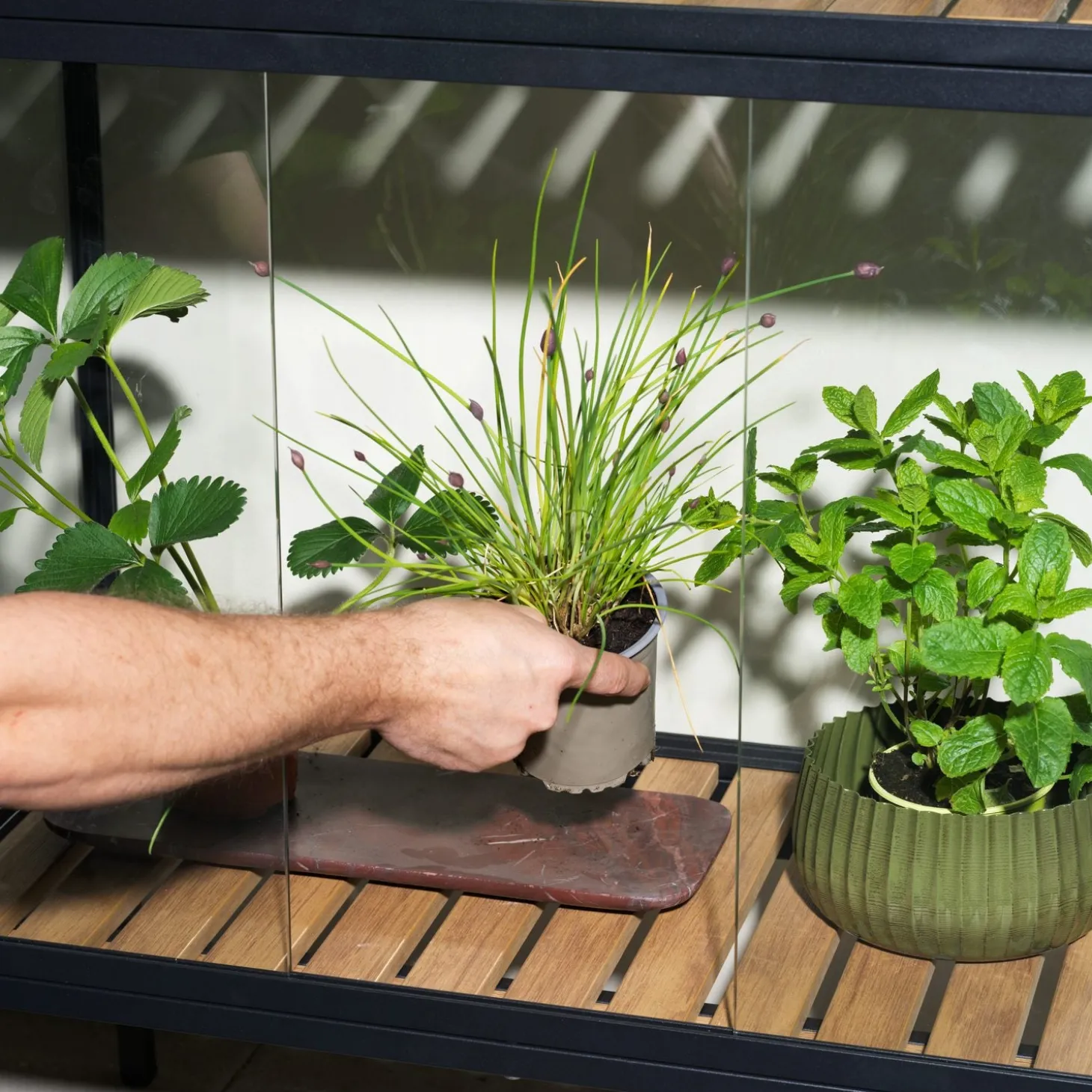 Grower Greens Växtskåp Svart 81x41x137 cm