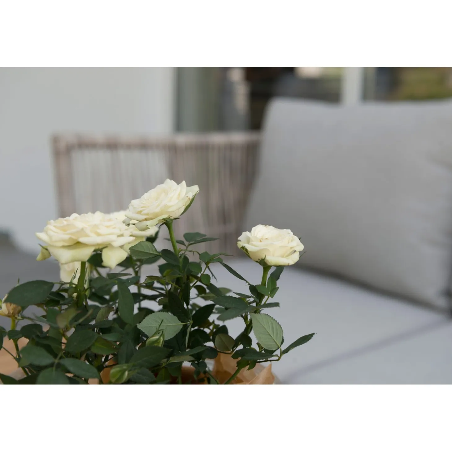 Himmelsnäs Utesoffa 3-Sits Beige