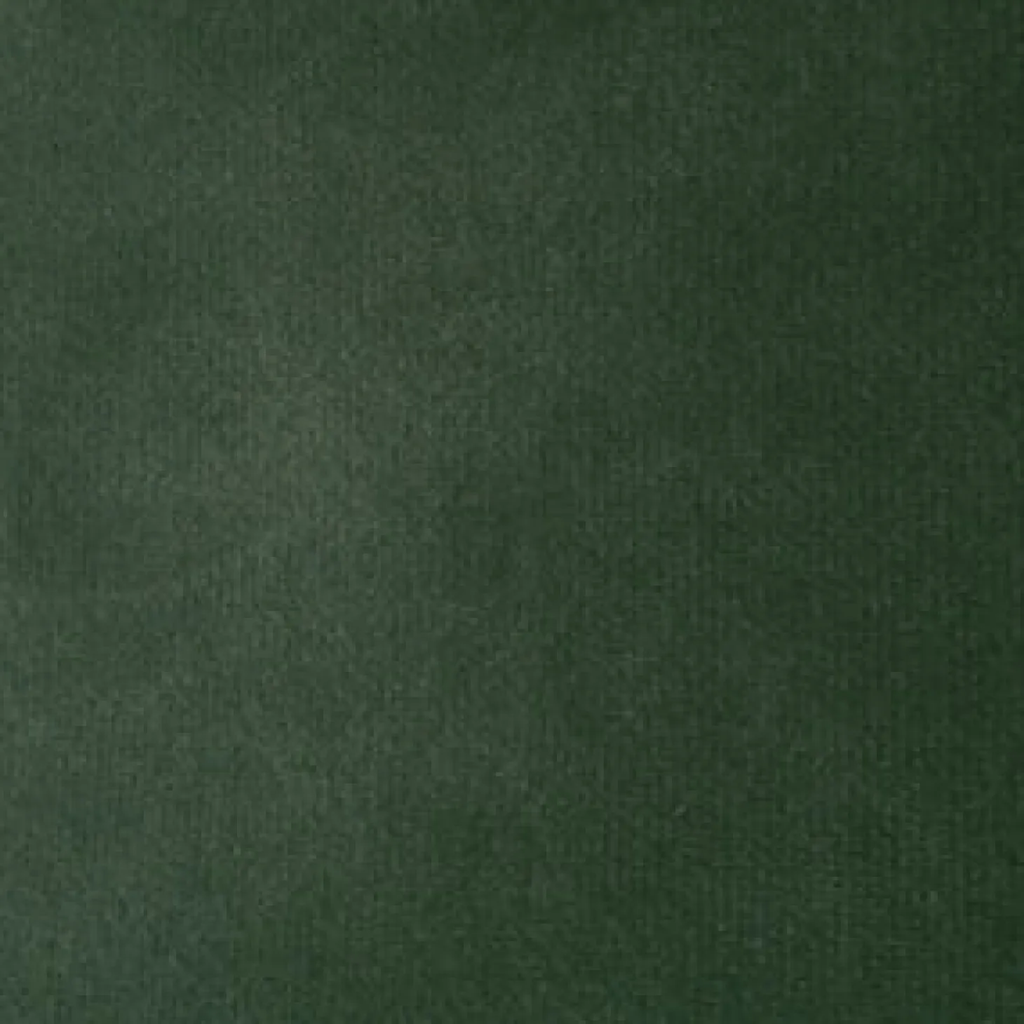 Holly Barstol