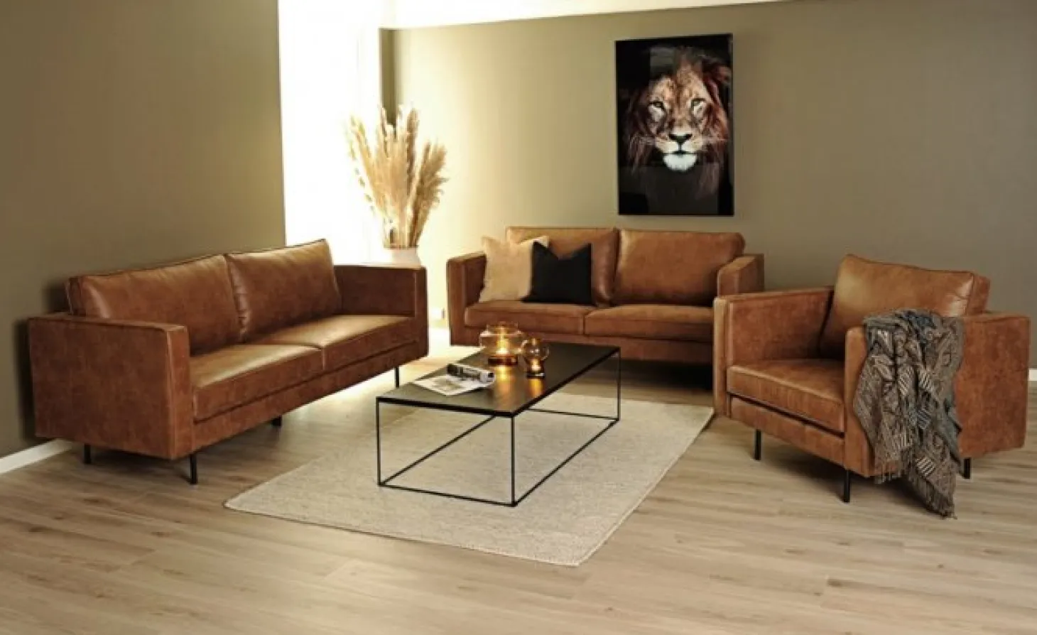 Texas 2,5-Sits Soffa Cognac